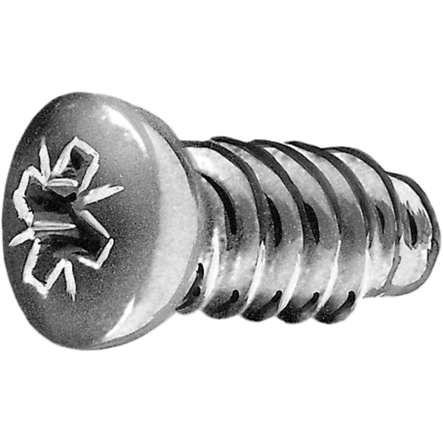 40008 euro-vijs 6,3 x 15mm pan vernik